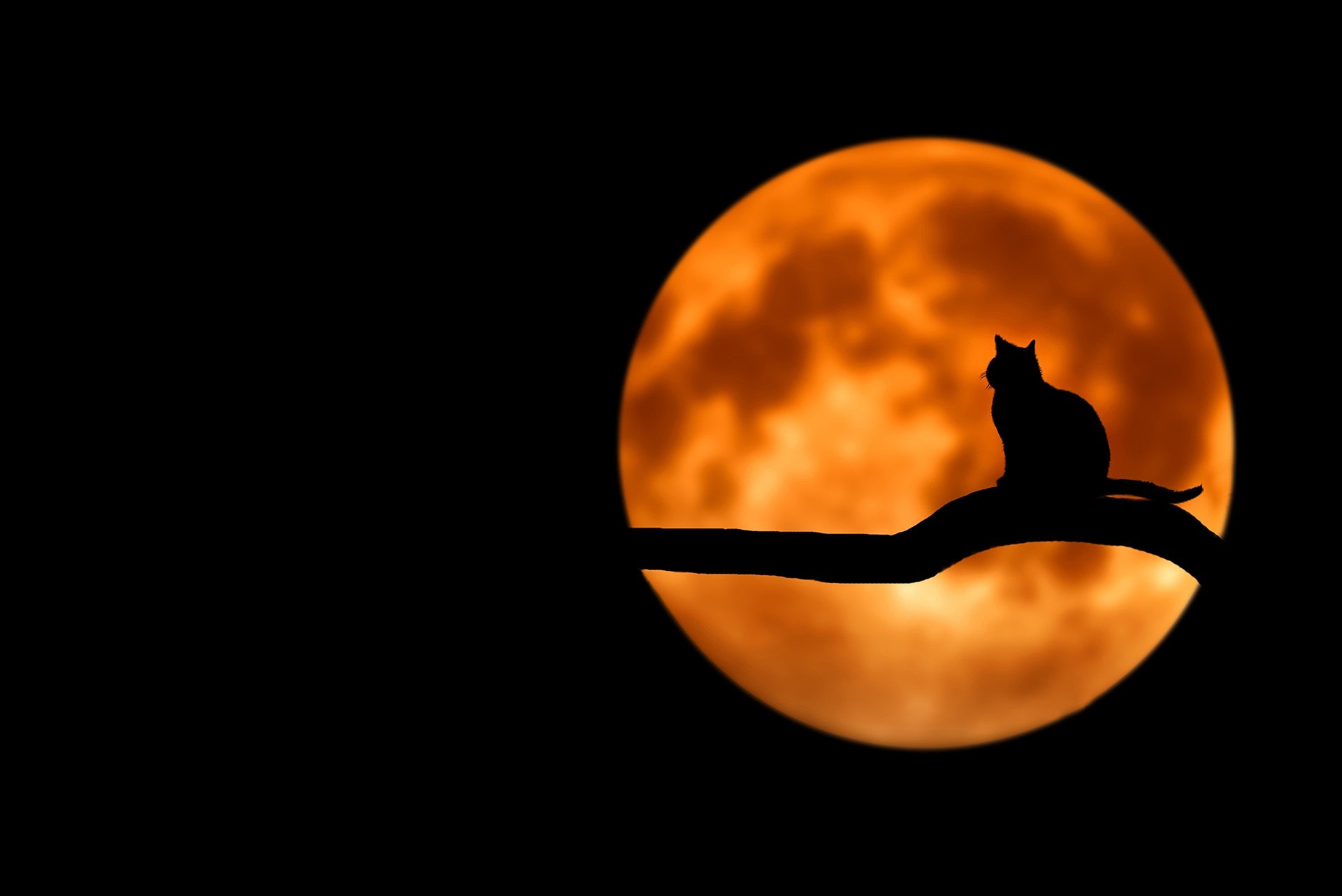 Halloween and its Origins